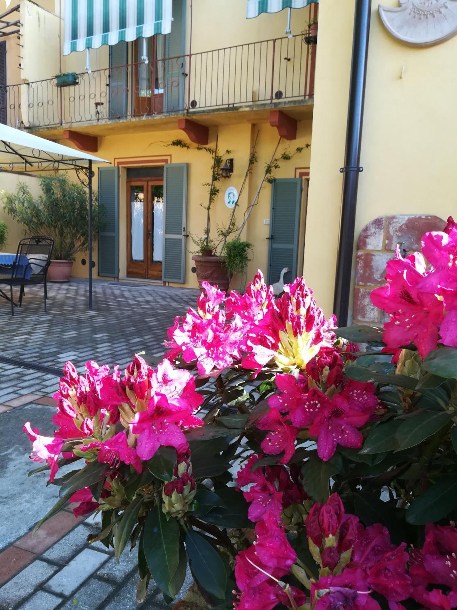 L'Adele Bed & Breakfast Occimiano Eksteriør bilde